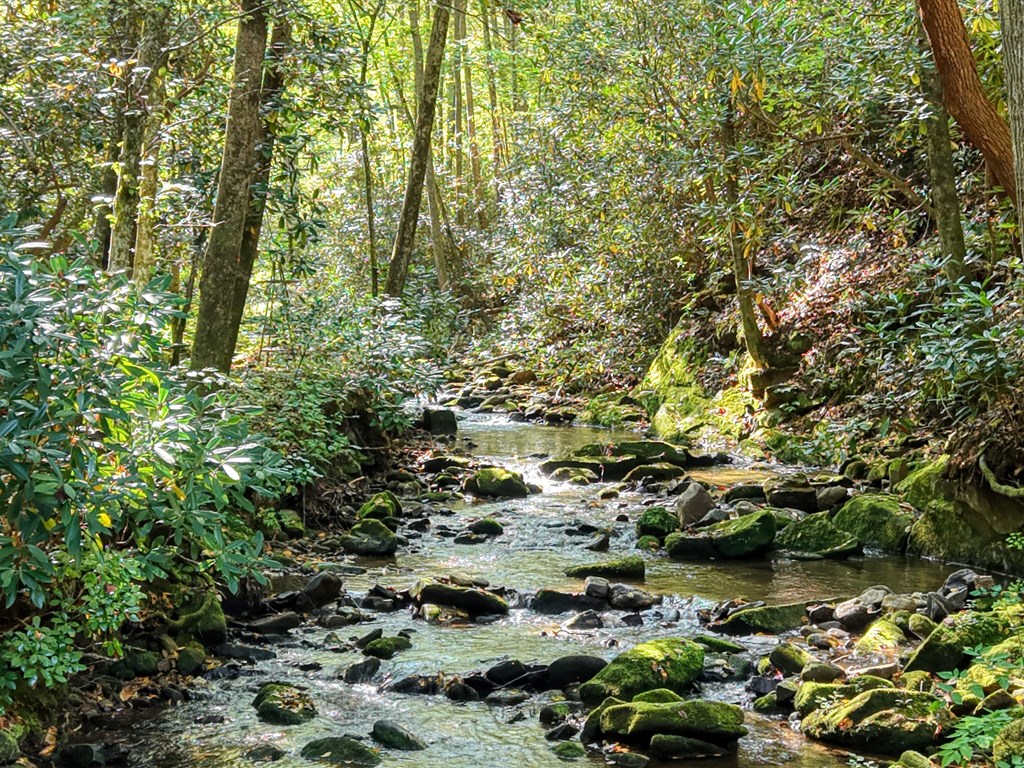 4836 Swallows Creek Road Hiawassee, GA 30546 - Photo 3 of 57 a view of lake