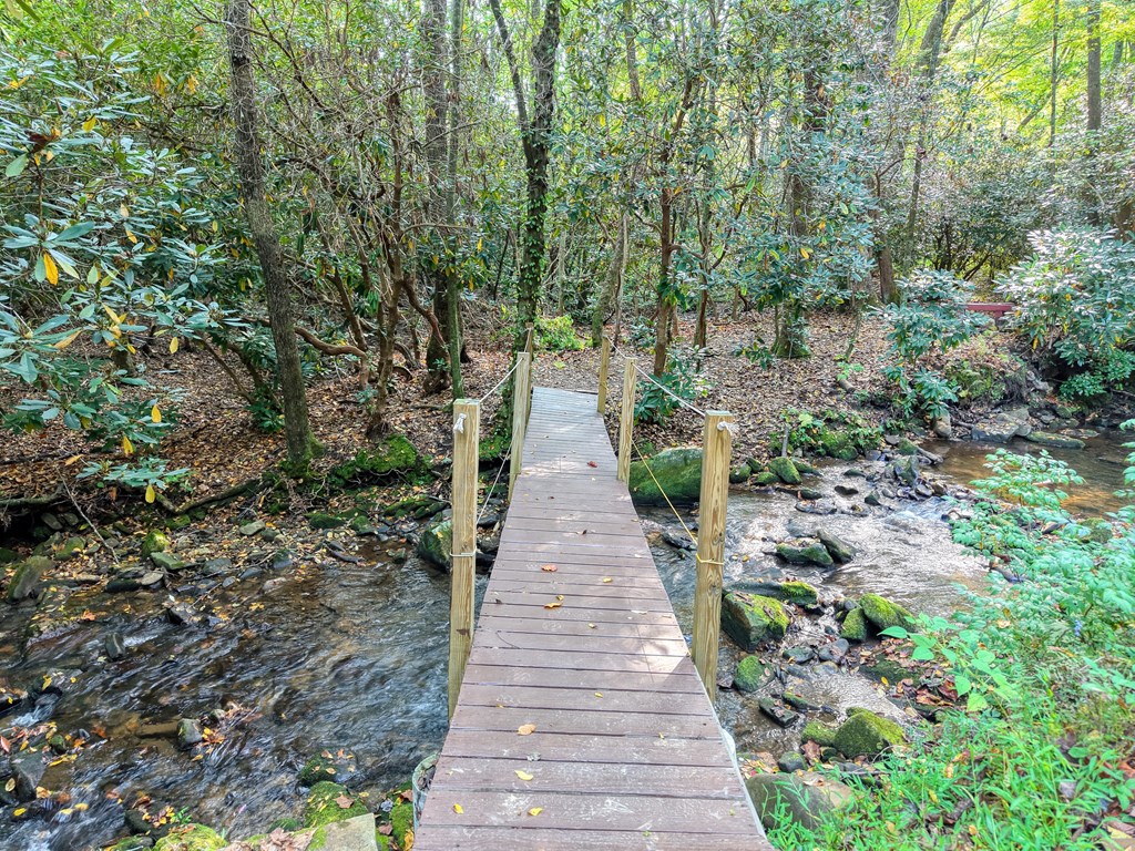 4836 Swallows Creek Road Hiawassee, GA 30546 - Photo 44 of 57