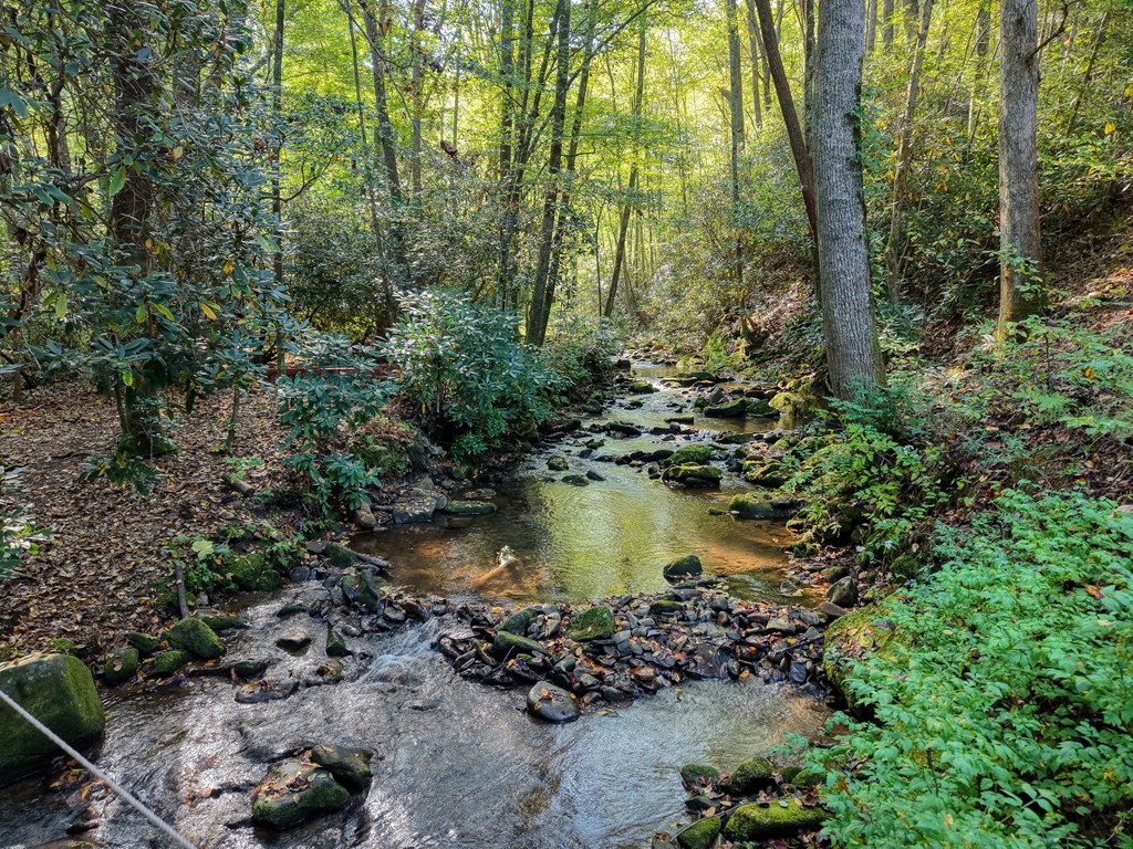 4836 Swallows Creek Road Hiawassee, GA 30546 - Photo 45 of 57 a view of a lake with a forest