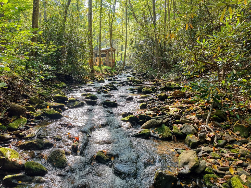 4836 Swallows Creek Road Hiawassee, GA 30546 - Photo 46 of 57 a view of a forest with trees