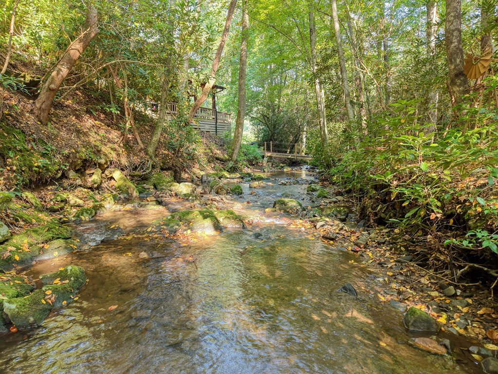 4836 Swallows Creek Road Hiawassee, GA 30546 - Photo 47 of 57 a view of yard