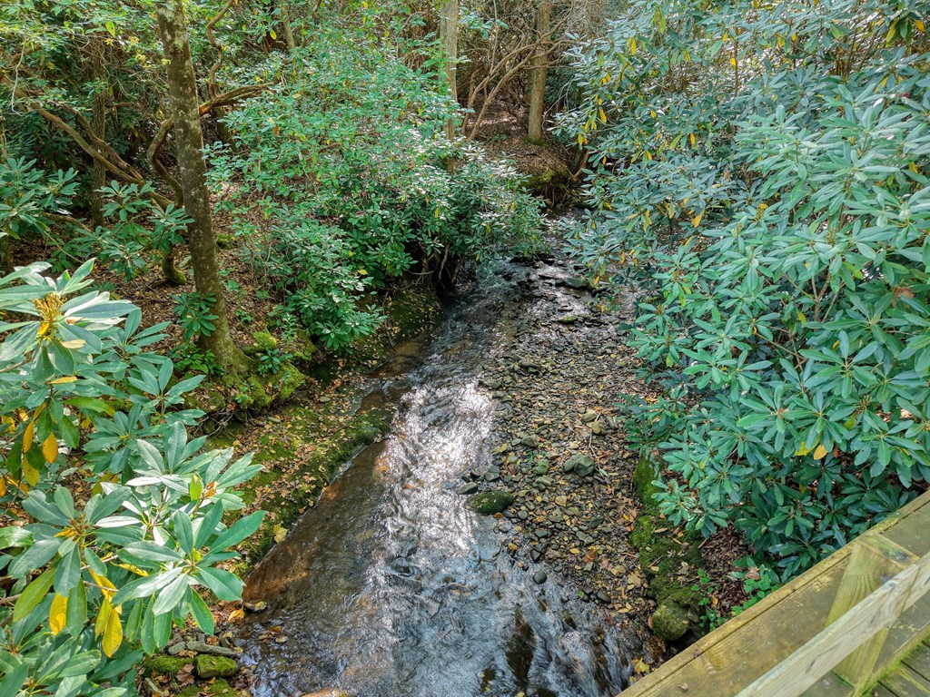 4836 Swallows Creek Road Hiawassee, GA 30546 - Photo 48 of 57 a view of a garden with a plant