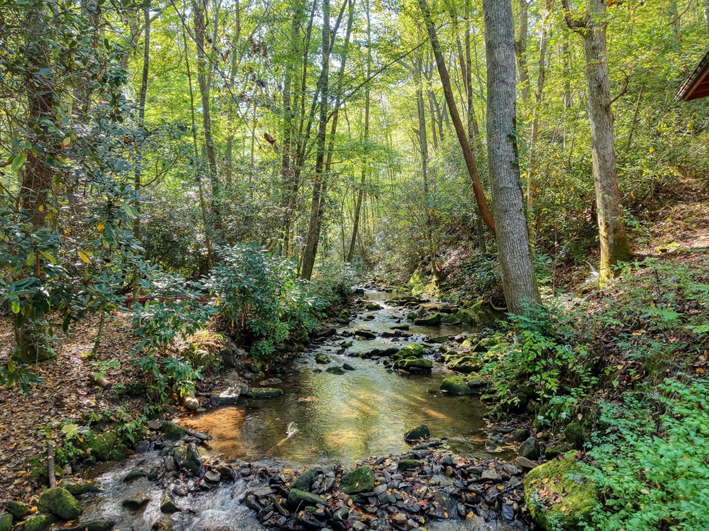 4836 Swallows Creek Road Hiawassee, GA 30546 - Photo 49 of 57