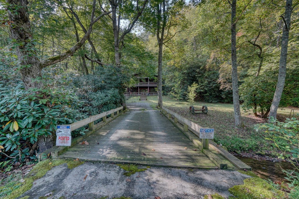 4836 Swallows Creek Road Hiawassee, GA 30546 - Photo 50 of 57 a view of a park with large trees