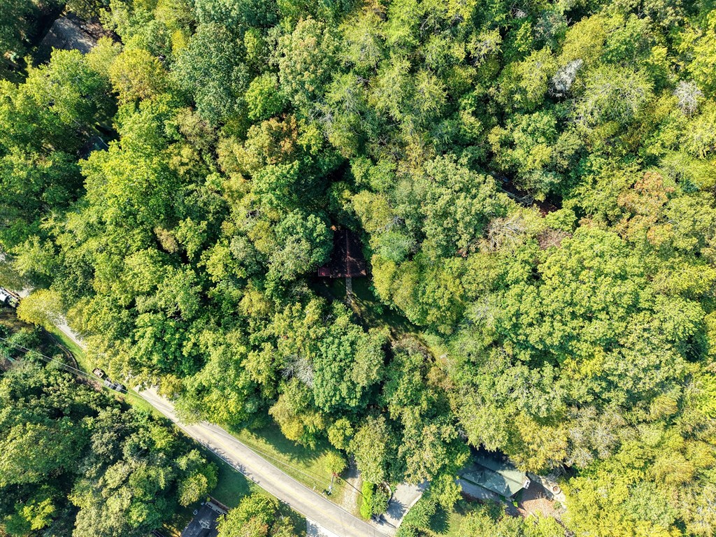 4836 Swallows Creek Road Hiawassee, GA 30546 - Photo 53 of 57 a view of a garden