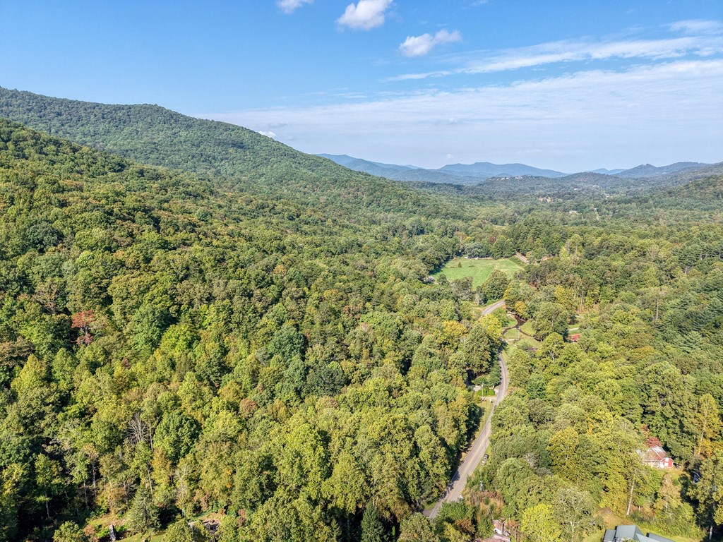 4836 Swallows Creek Road Hiawassee, GA 30546 - Photo 54 of 57 a view of a lush green outdoor space with a lake view