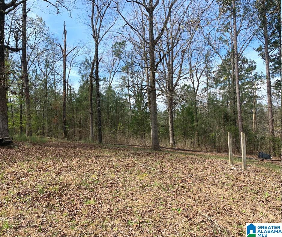 48-126 Hoot Owl Hollow Road, Unit 48 & 126 Ohatchee, AL 36271 - Photo 3 of 8