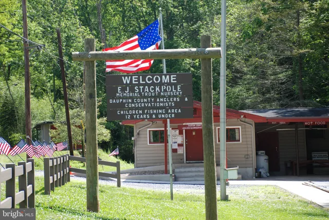 a view of lake and mountain