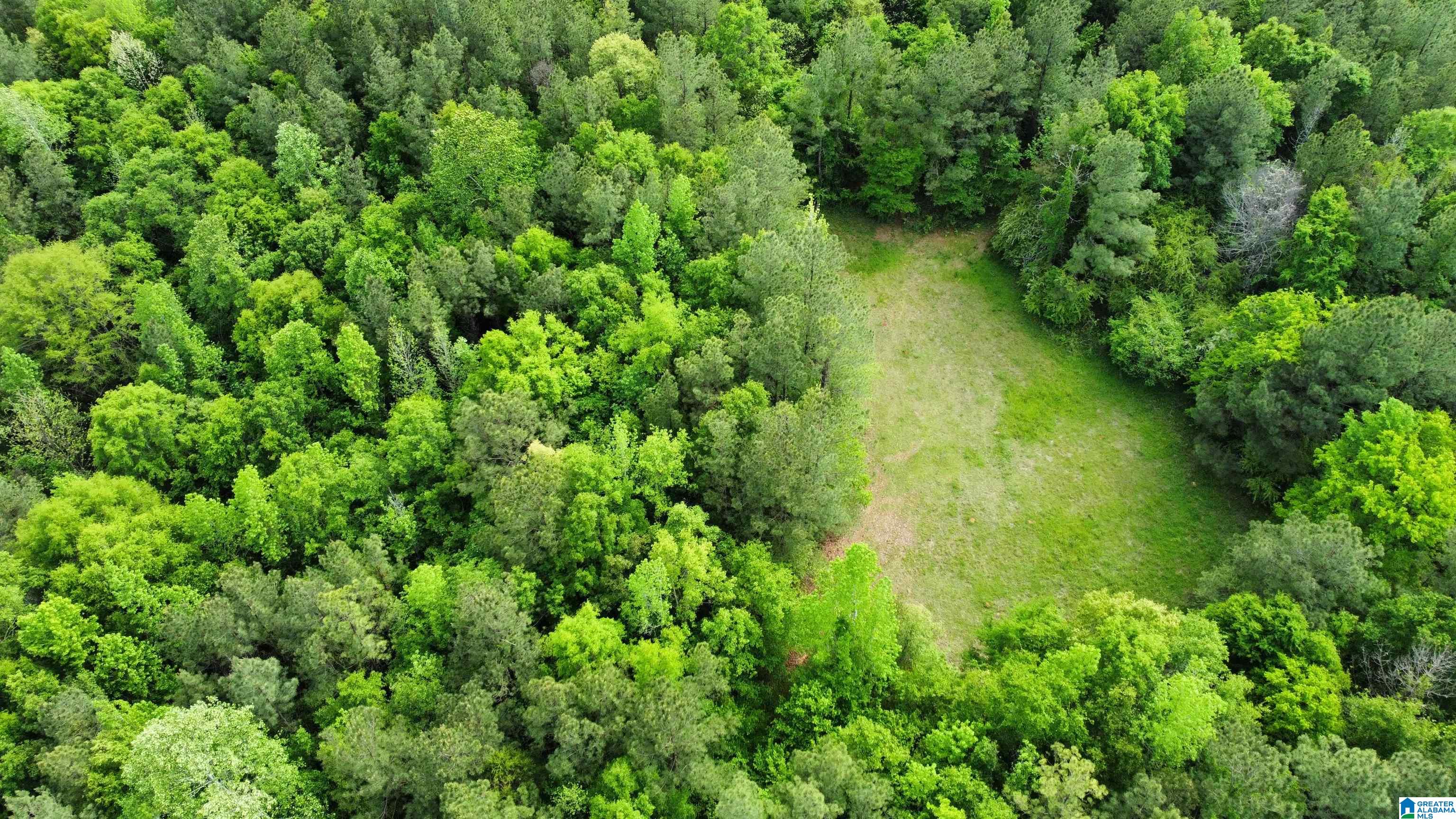 0 County Road 44 Linden, AL 36748 - Photo 14 of 48