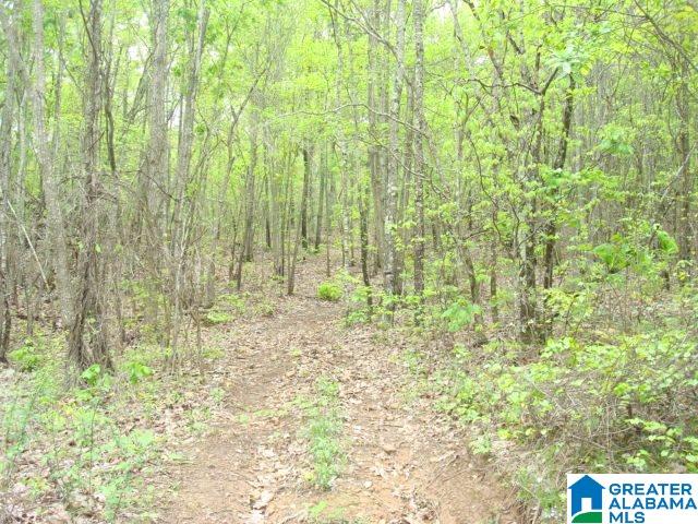 Kitchens Street, Unit 20 Anniston, AL 36201 - Photo 7 of 16