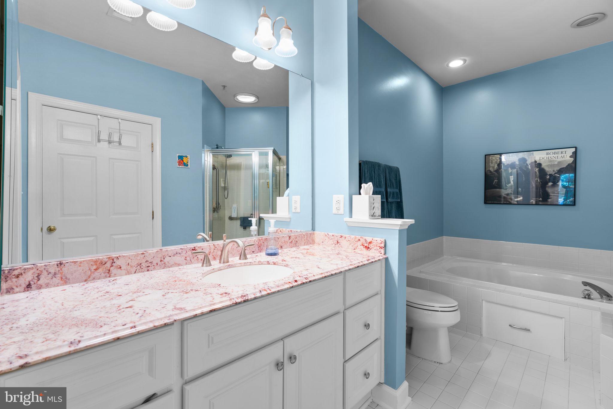 344 Colony Point Place Edgewater, MD 21037 - Photo 25 of 55 a bathroom with a granite countertop sink a toilet and a large mirror