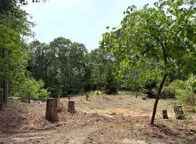 a view of outdoor space