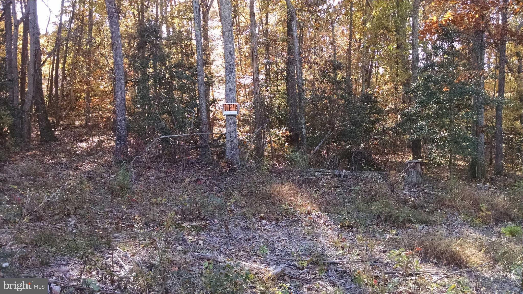 3350 Crane Road Port Republic, MD 20676 - Photo 2 of 2 View