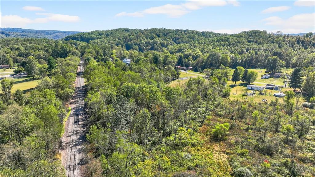 281 Porter Road Rostraver Township, PA 15012 - Photo 11 of 31 a view of a city with lush green forest