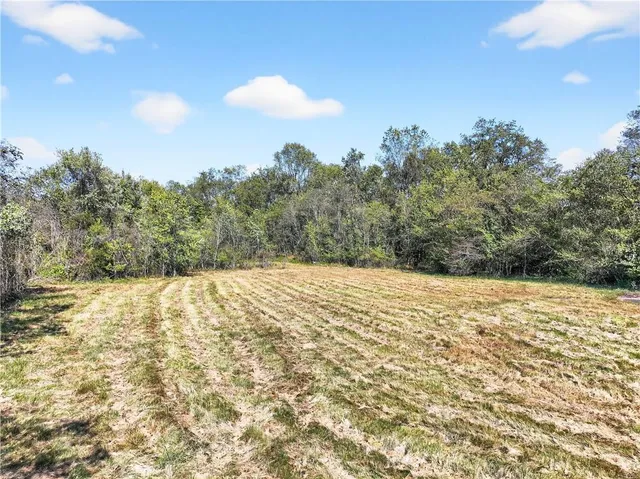 a view of a yard with trees