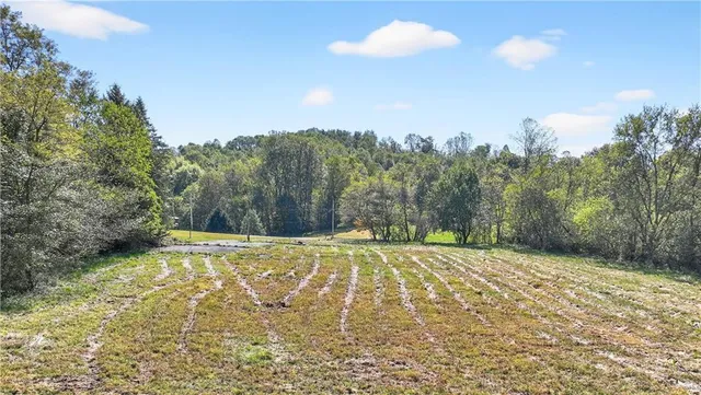 a view of a yard with a tree
