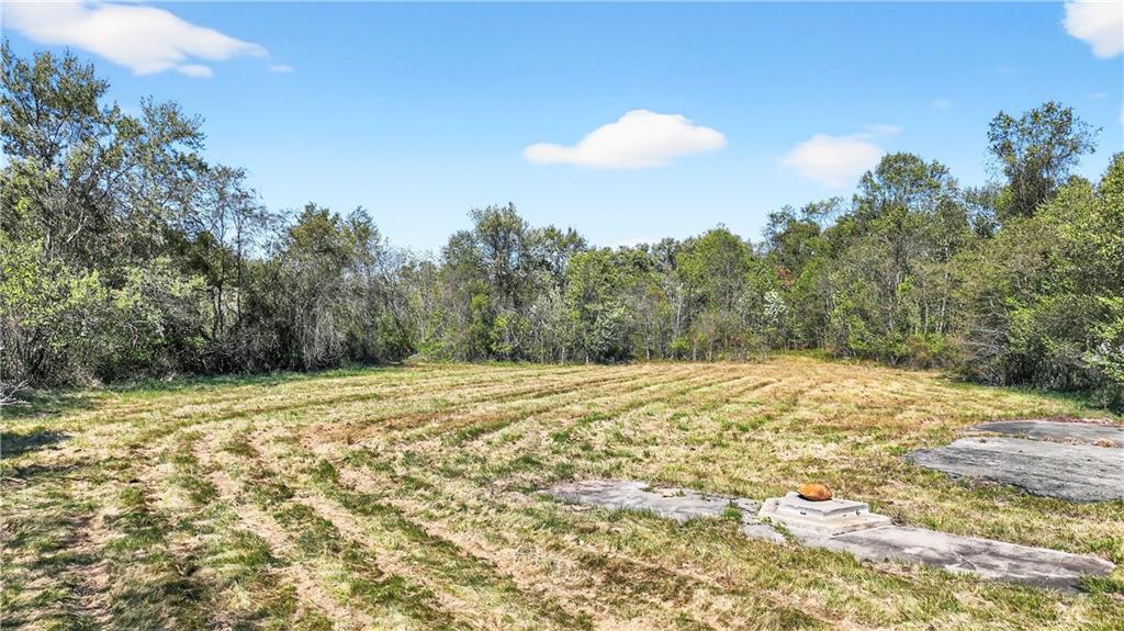 281 Porter Road Rostraver Township, PA 15012 - Photo 30 of 31 a view of a yard with a tree
