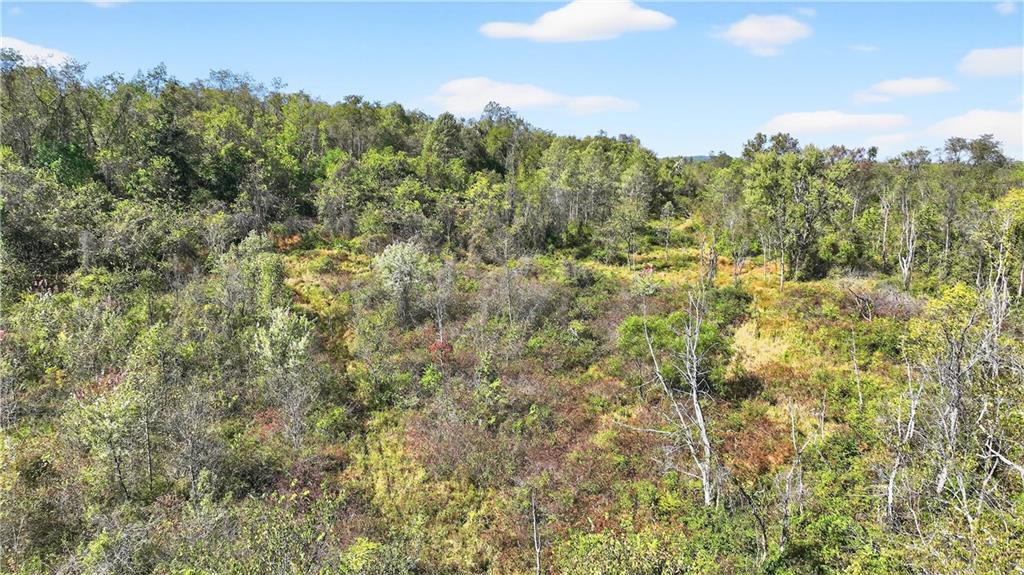 281 Porter Road Rostraver Township, PA 15012 - Photo 5 of 31 a view of a forest with a houses