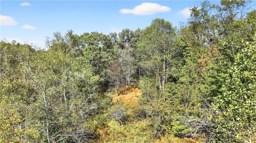 281 Porter Road Rostraver Township, PA 15012 - Photo 5 of 31 a view of a yard