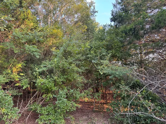 $199,500 | 21269 Bracewell Road, Bedias, TX 77831