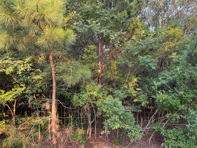 $199,500 | 21269 Bracewell Road, Bedias, TX 77831