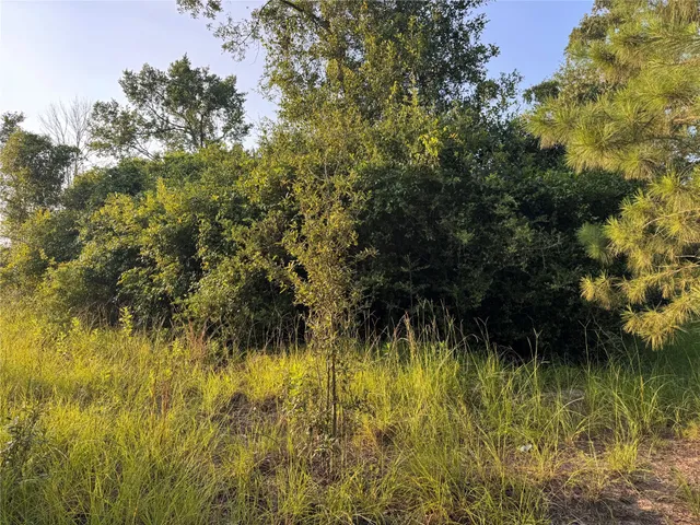 $199,500 | 21269 Bracewell Road, Bedias, TX 77831
