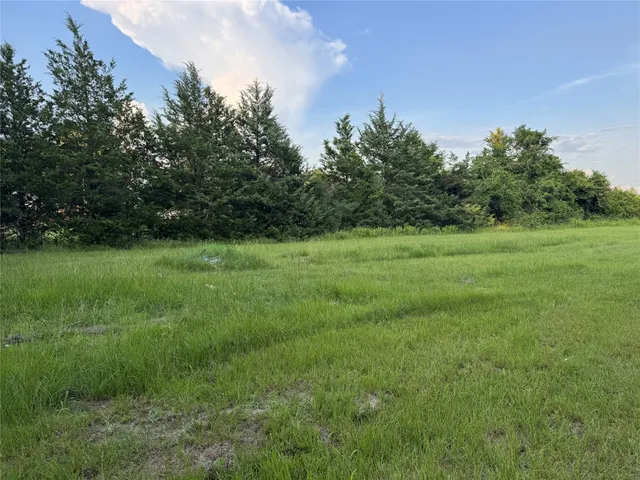a view of a forest with trees