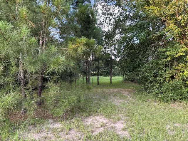 $199,500 | 21269 Bracewell Road, Bedias, TX 77831