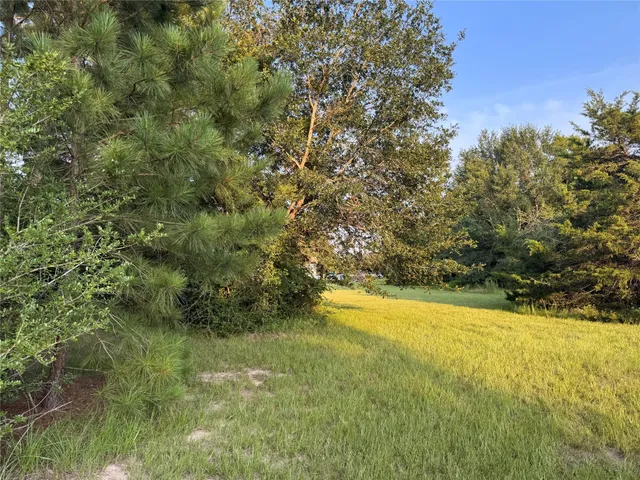 a view of a yard with a tree