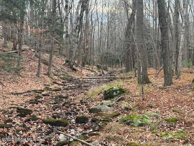 $249,000 | 1 A Nugent Road, Cropseyville, NY 12052