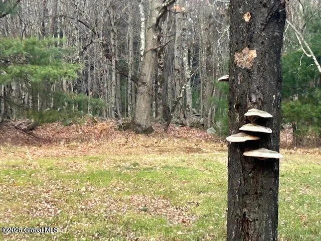 $249,000 | 1 A Nugent Road, Cropseyville, NY 12052