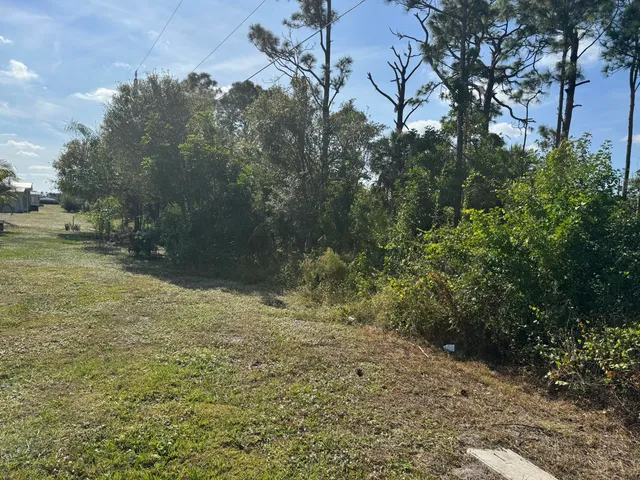 a view of a yard with trees