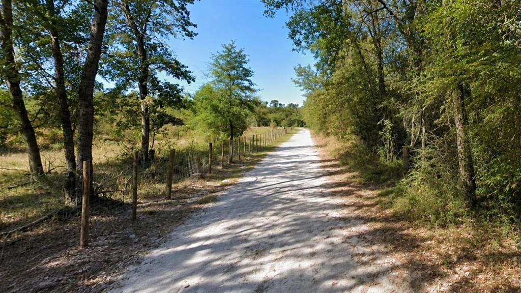 Lot 7 Dryden Street Trinity, TX 75862 - Photo 1 of 6 a view of a yard with plants and trees