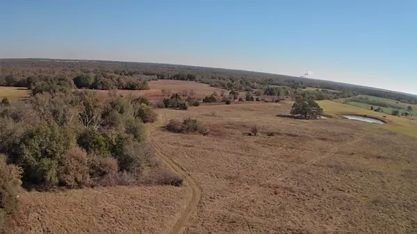 a view of a dry field with trees in background