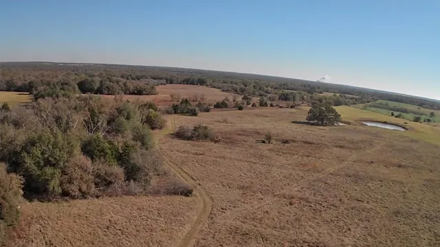 a view of a dry field with trees in background
