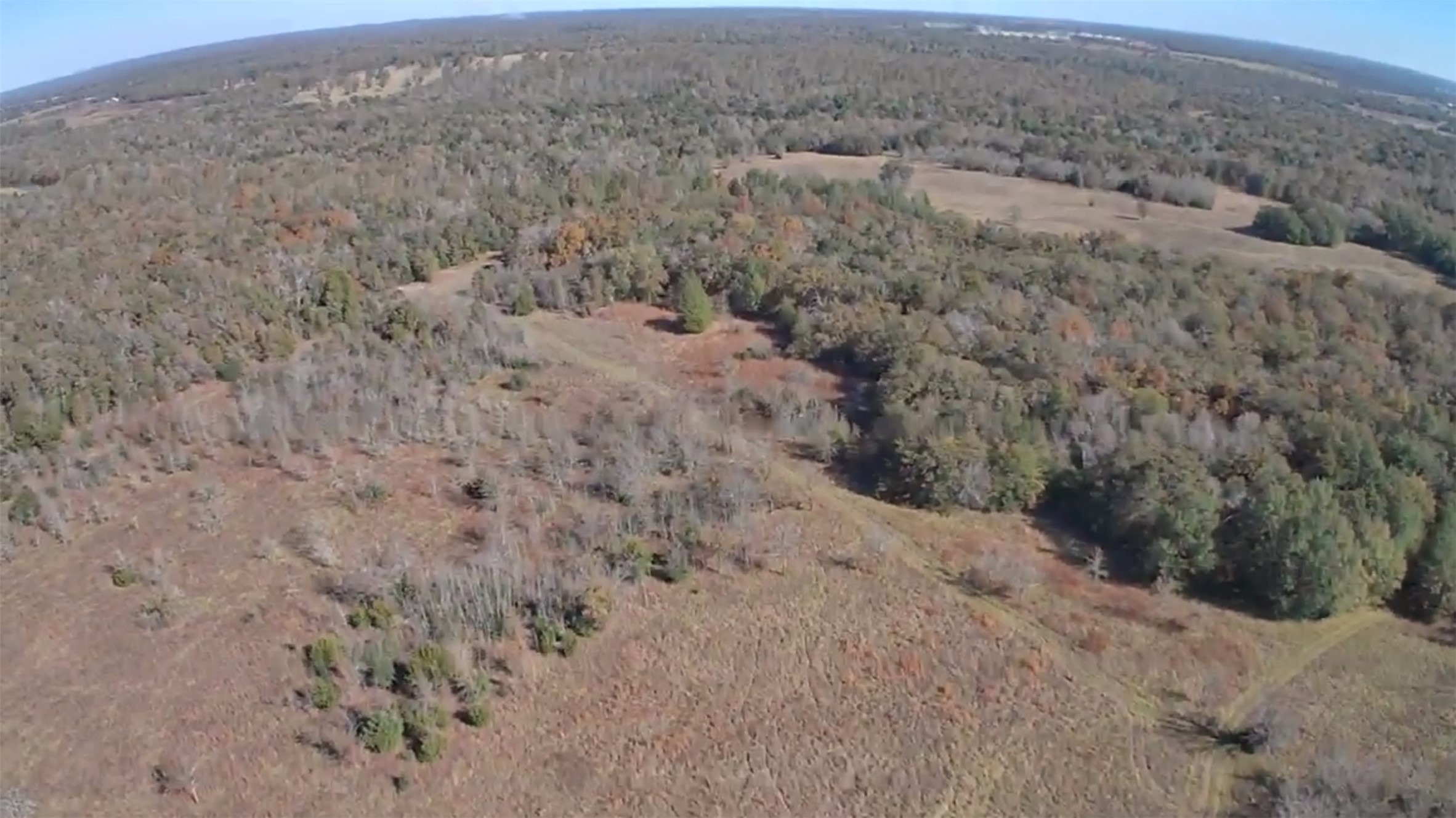 276 County Road 276 Bremond, TX 76629 - Photo 11 of 12 a view of a dry yard with trees