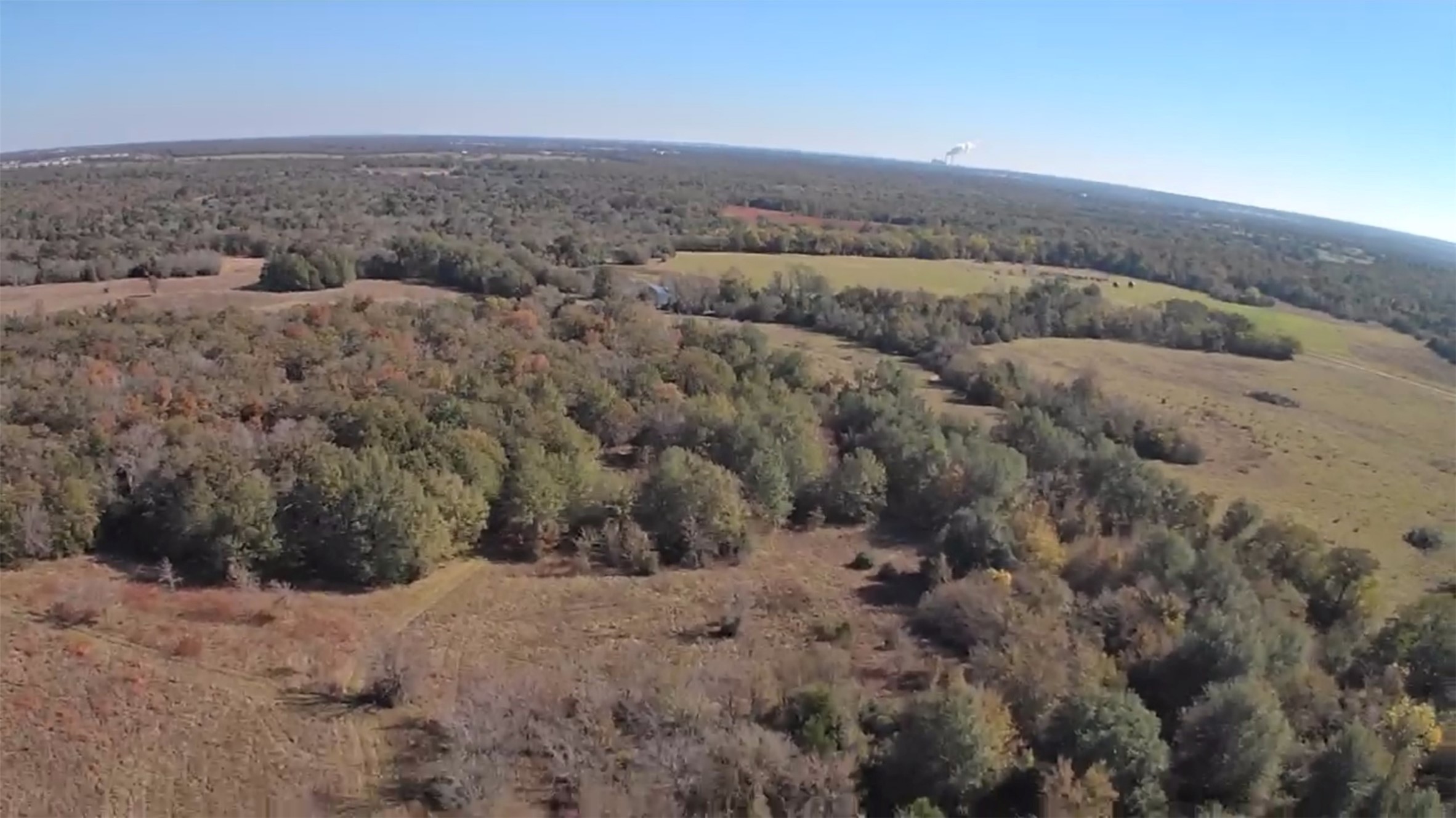 276 County Road 276 Bremond, TX 76629 - Photo 9 of 12 a view of a dry yard with lots of trees