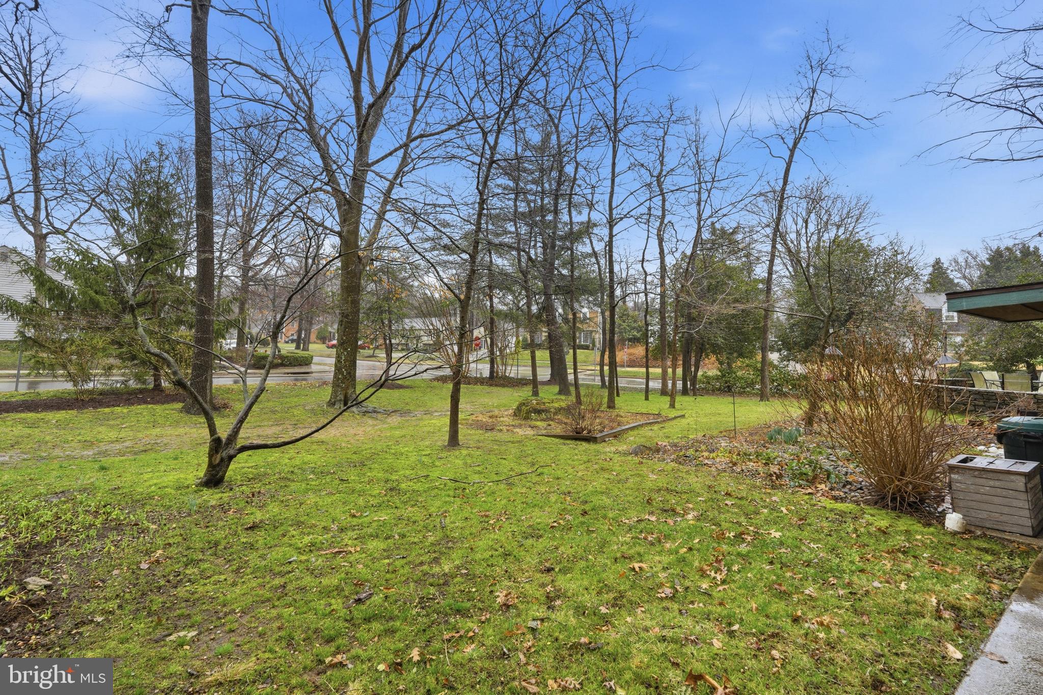 1734 Dana Street Crofton, MD 21114 - Photo 34 of 40 a view of a yard with a tree