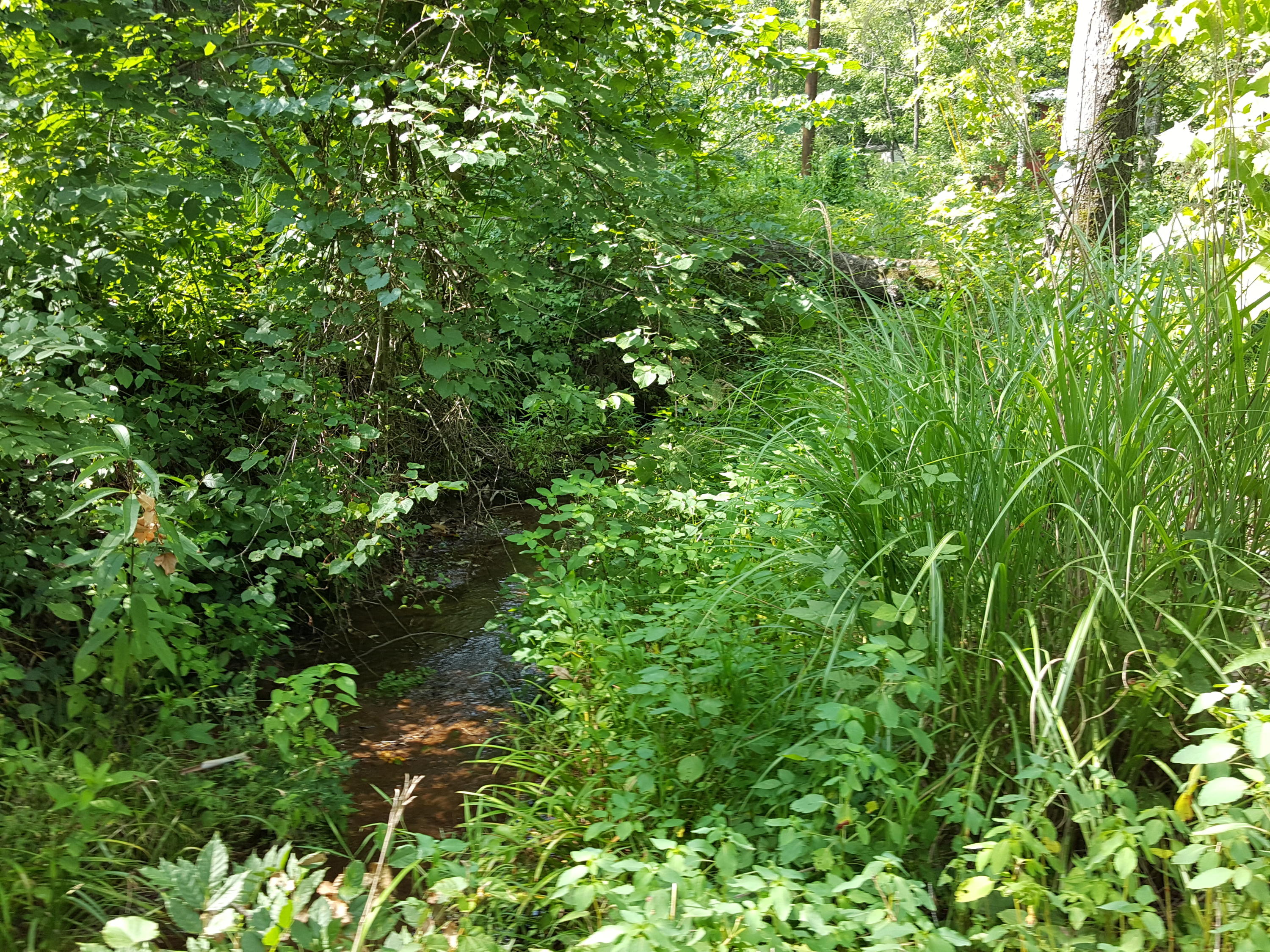 500 Three Point Road Vonore, TN 37885 - Photo 18 of 29 20160726_170652