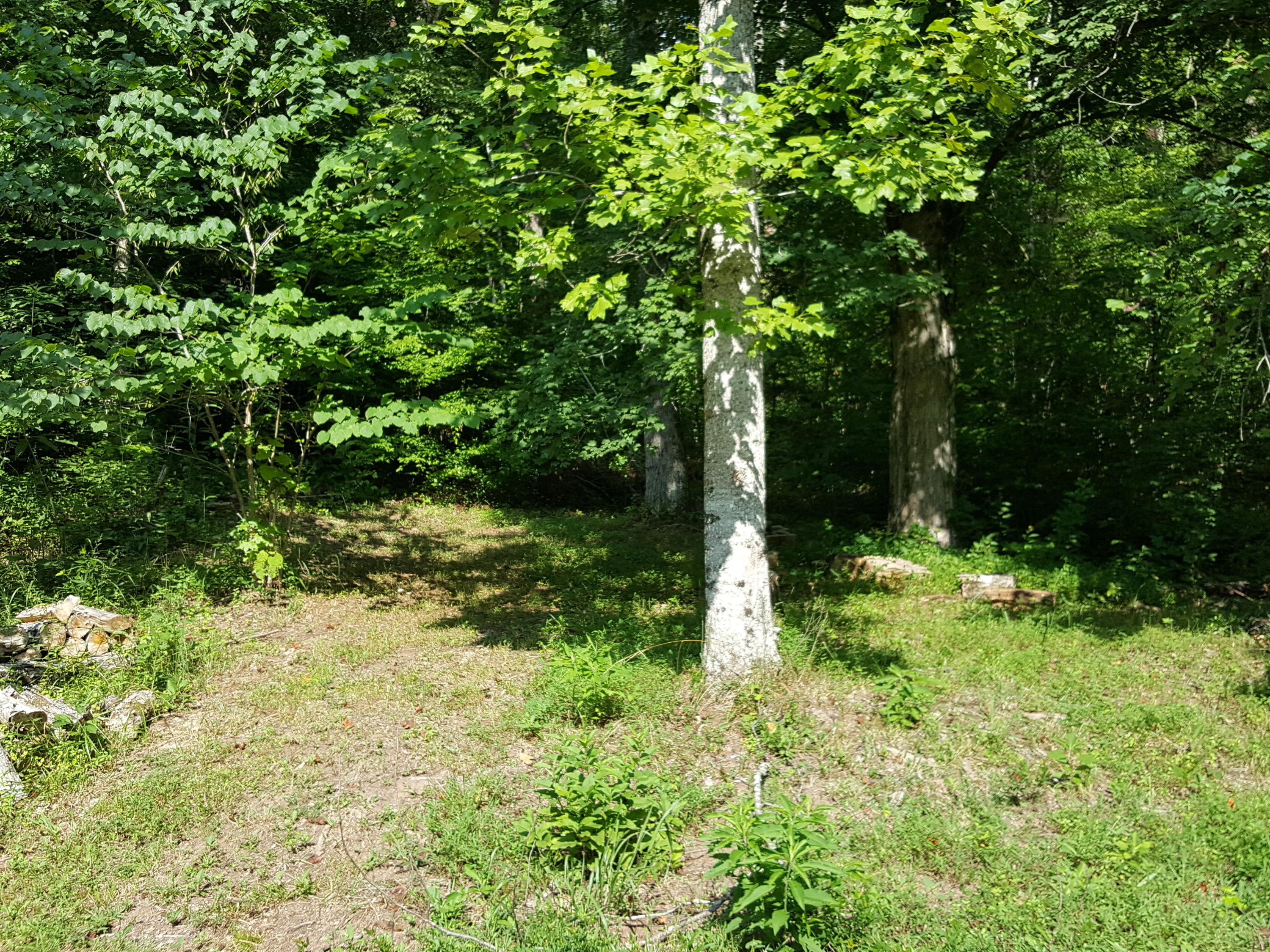 500 Three Point Road Vonore, TN 37885 - Photo 20 of 29 20160726_171231