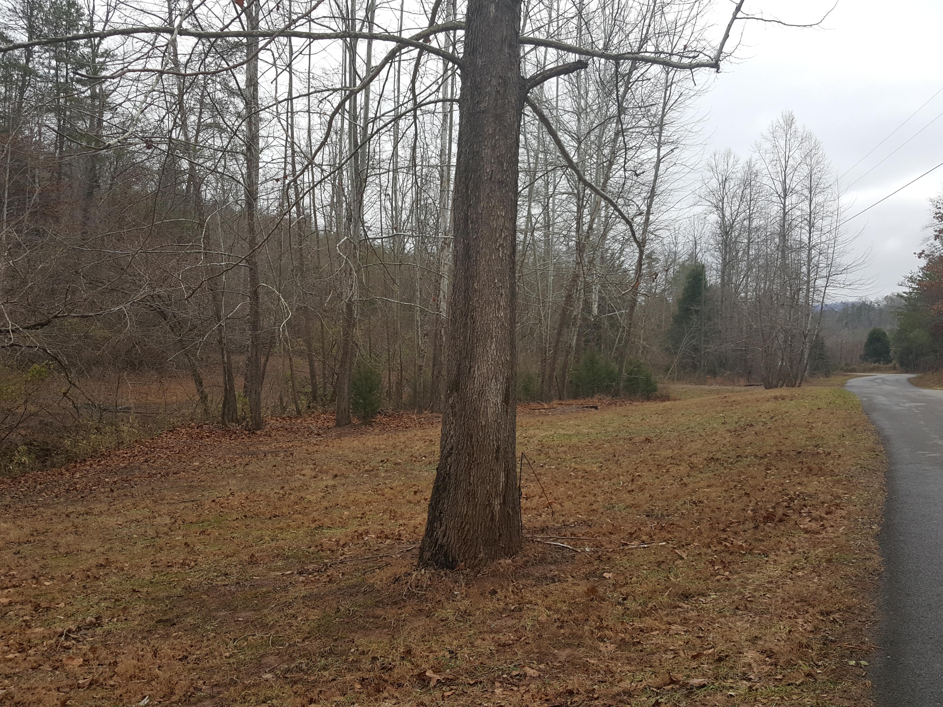 500 Three Point Road Vonore, TN 37885 - Photo 27 of 29 20161214_124704