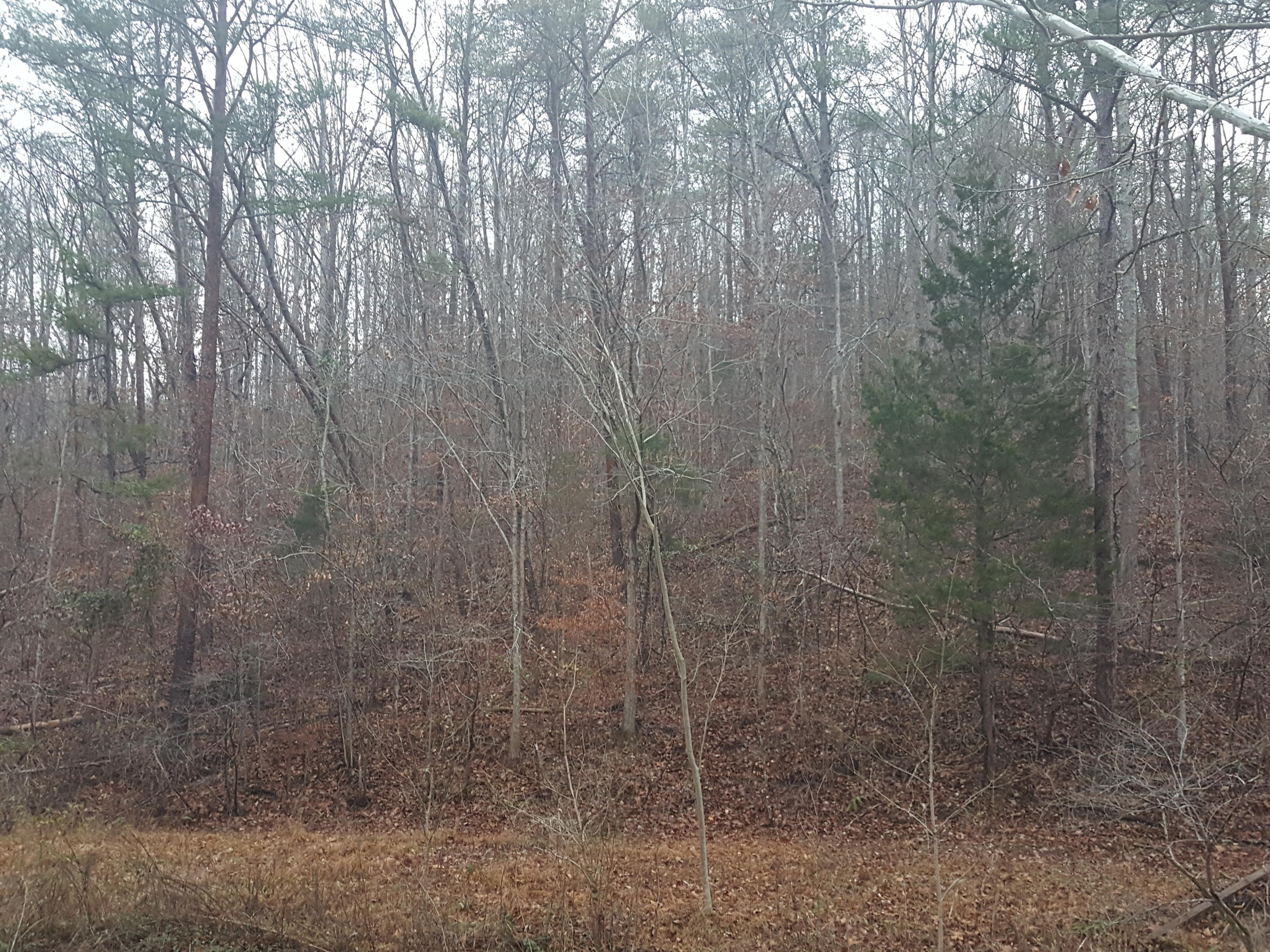 500 Three Point Road Vonore, TN 37885 - Photo 28 of 29 20161217_163854_002