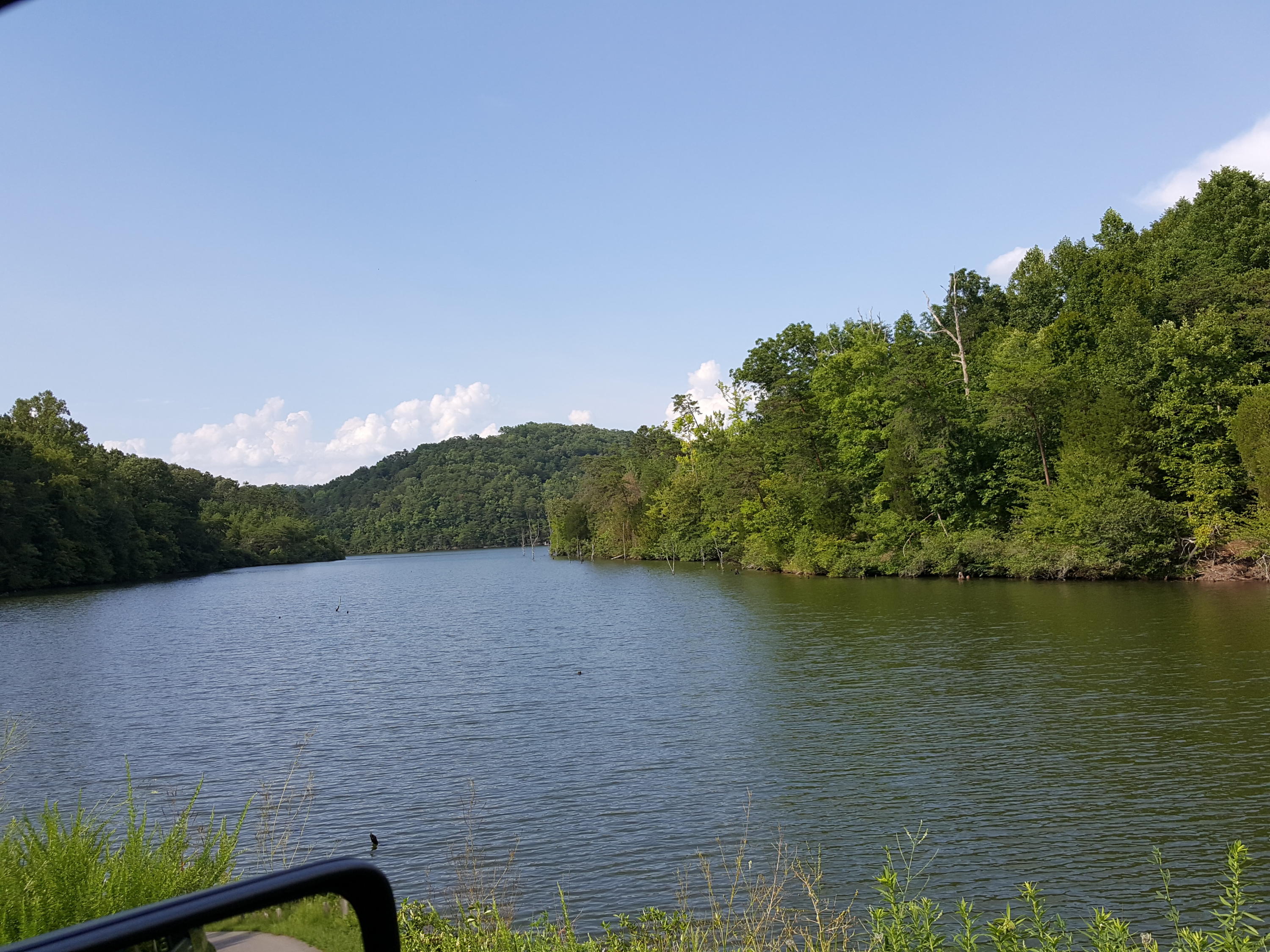 500 Three Point Road Vonore, TN 37885 - Photo 29 of 29 20160726_172913_004
