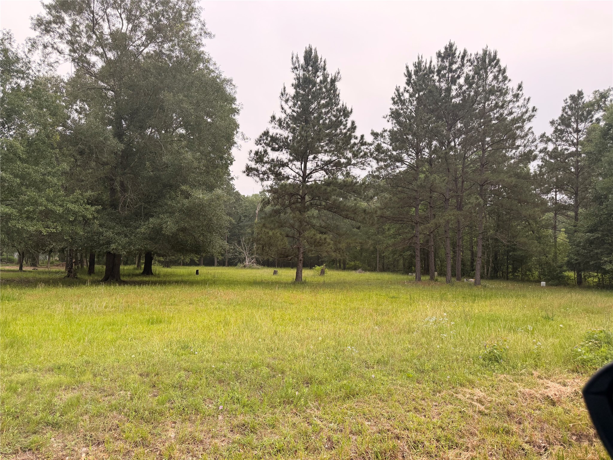 0 Forest Trail Conroe, TX 77306 - Photo 1 of 7 a view of a swimming pool and trees