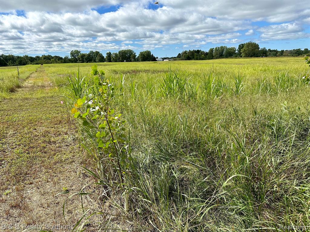 0 Fish Lake Road North Branch, MI 48461 - Photo 18 of 20
