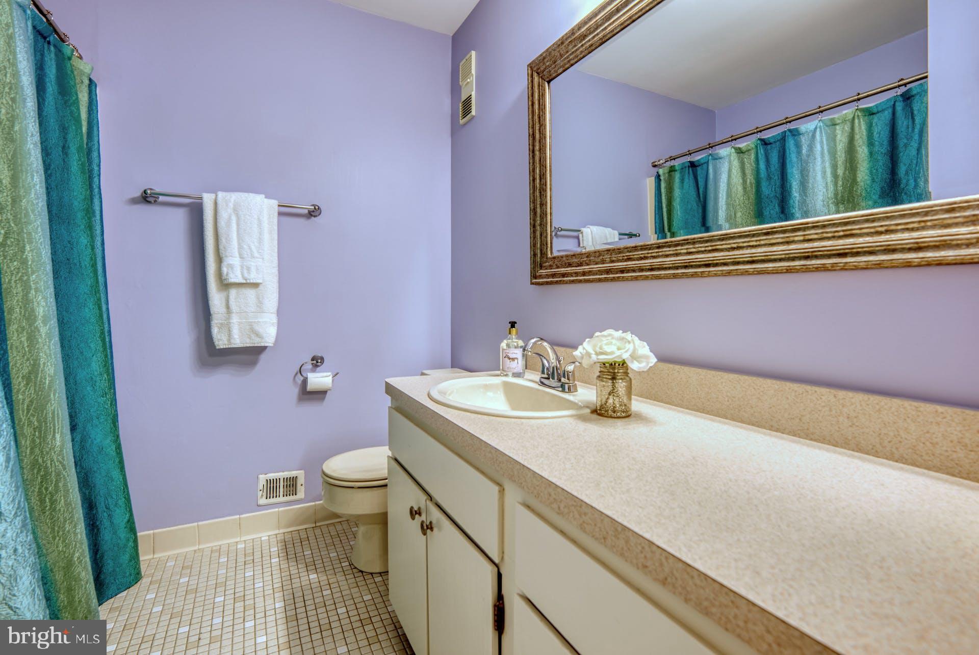 2023 Approach Lane Reston, VA 20191 - Photo 24 of 30 Full Bath - Upper Level