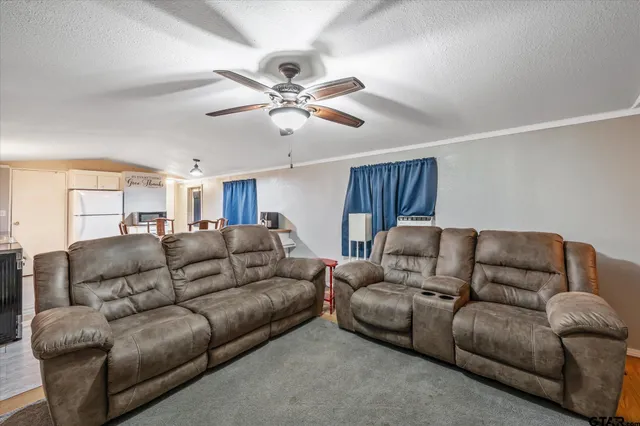 a living room with furniture a ceiling fan and a rug