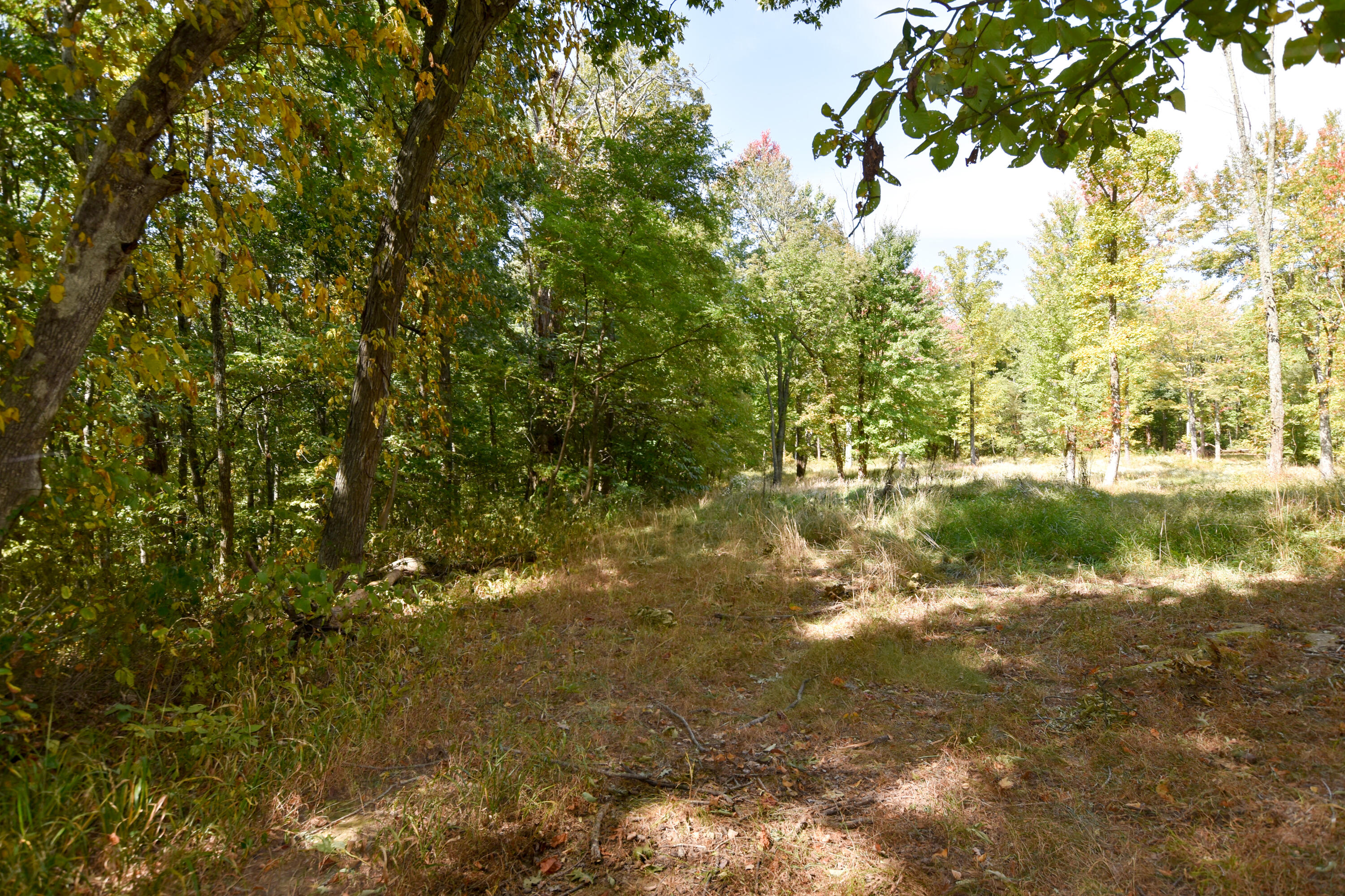 2390 Beechy Creek Road Wallingford, KY 41093 - Photo 48 of 89 DSC_0109