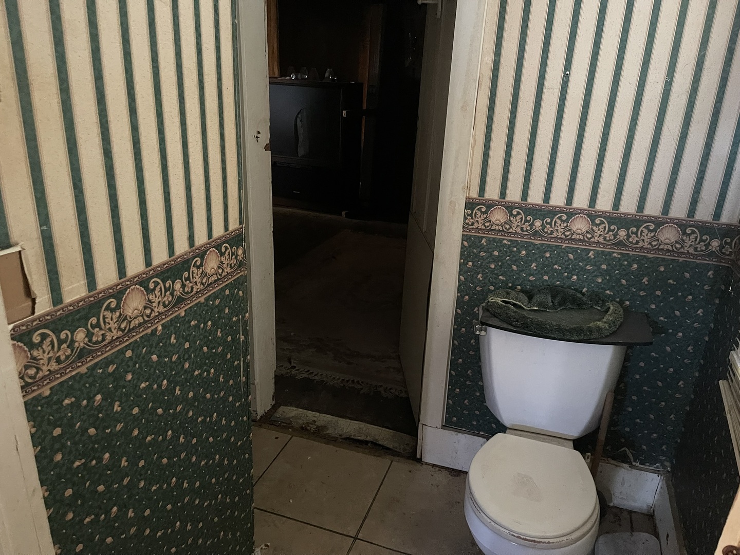 315 Butler Street Metropolis, IL 62960 - Photo 9 of 13 a white toilet sitting next to a shower curtain