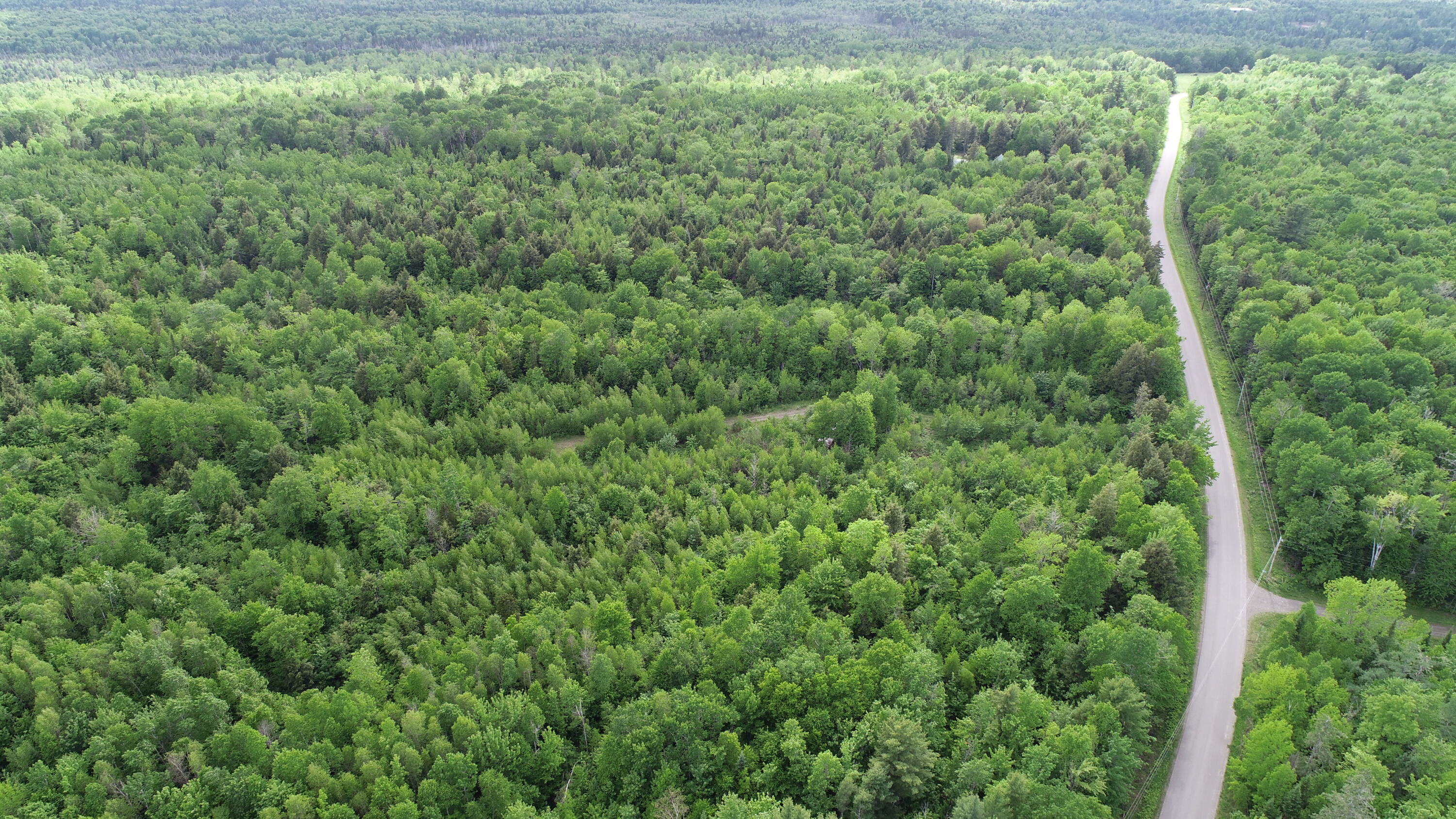 Lot 5 Harris Hill Road Weston, ME 04424 - Photo 19 of 21 DJI_0787